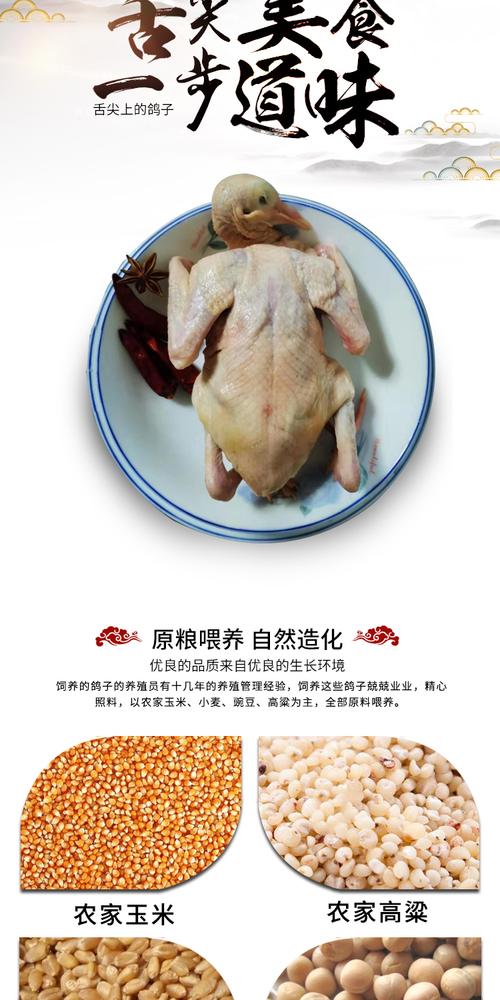 新鲜乳鸽生鲜鸽子肉现杀农家散养煲汤滋补白鸽老鸽土鸽顺丰包邮